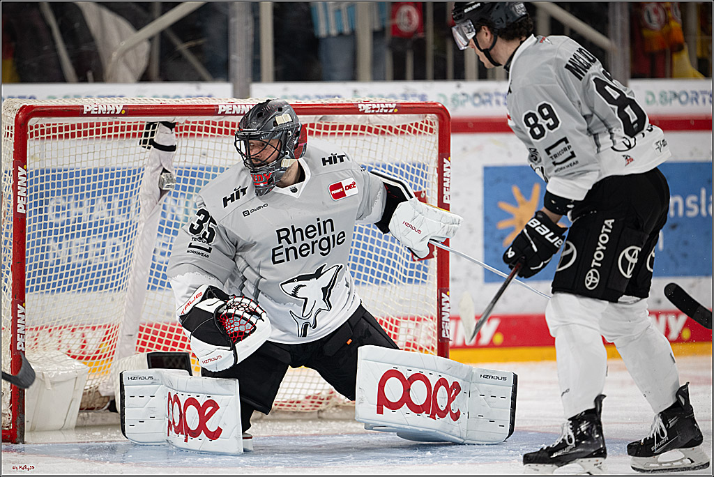PENNY DEL 1; Düsseldorfer EG - Kölner Haie; Düsseldorf, 24.01.2025